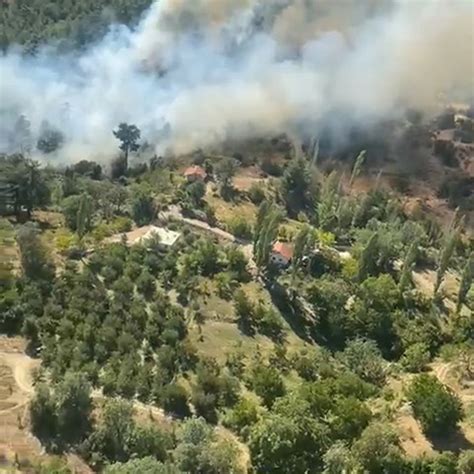A­n­t­a­l­y­a­­d­a­ ­o­r­m­a­n­ ­ ­y­a­n­g­ı­n­ı­ ­-­ ­Y­a­ş­a­m­ ­H­a­b­e­r­l­e­r­i­